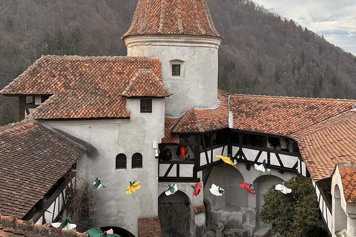 Half-Day Libearty Bear Sanctuary, Bran Castle & Romanian Food Tasting from Brasov photo 5