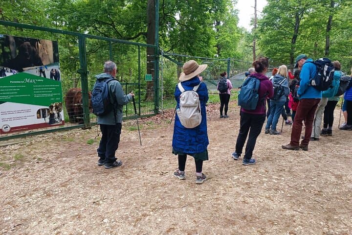 Half-Day Libearty Bear Sanctuary, Bran Castle & Romanian Food Tasting from Brasov photo 6
