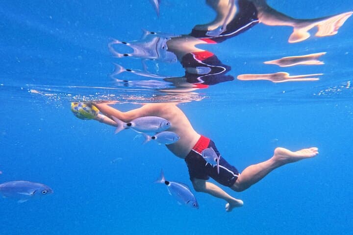 Makarska 3-Island Speedboat Tour: Cave Swim, Blue Lagoon & Cliff Jumps photo 3