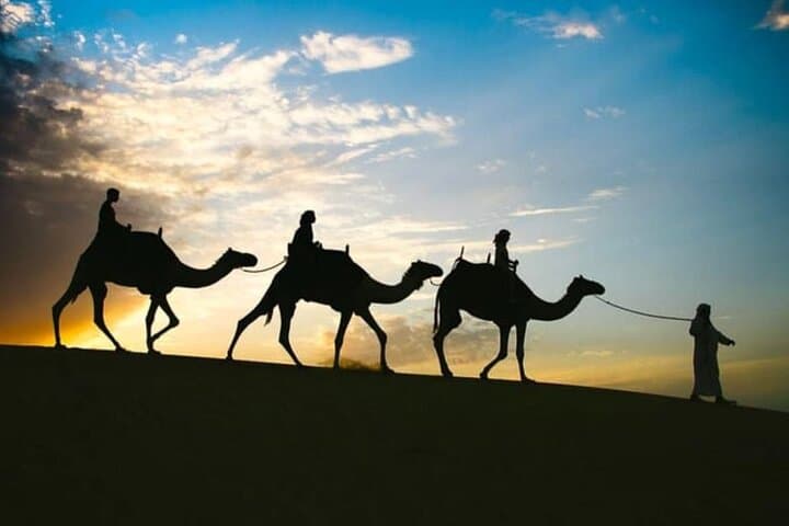 Doha Stargazing Desert Safari: Dune Bashing, Camel Ride & Night Sky Tour photo 4