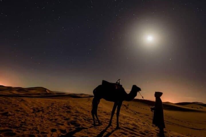 Doha Stargazing Desert Safari: Dune Bashing, Camel Ride & Night Sky Tour photo 6