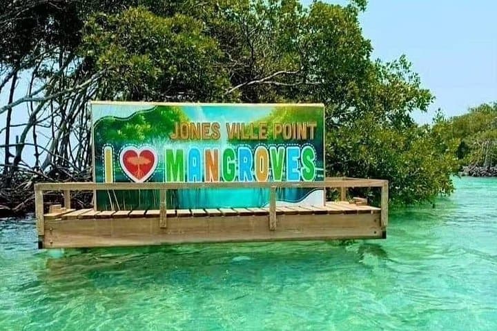 Mangrove Tunnel & Tarpon Turtle Watch: East Side Roatán Boat Adventure photo 1