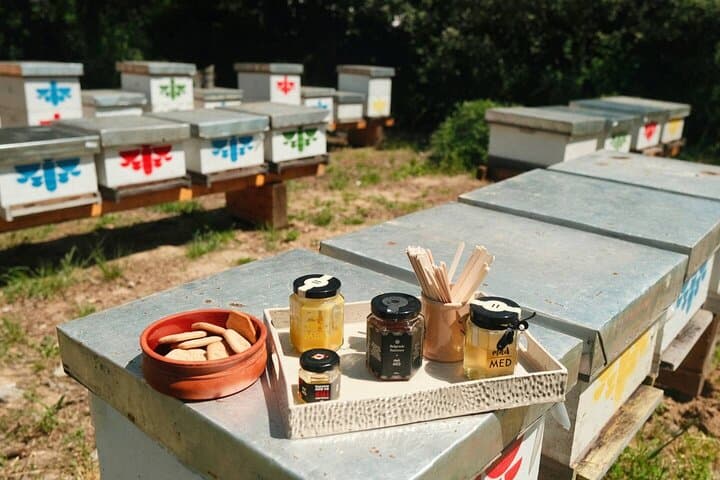 Apitherapy in Belgrade: Explore the Secret Honey Garden at Silos photo 3