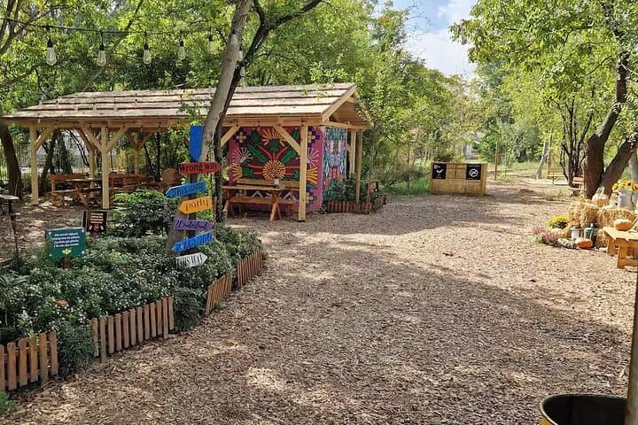 Apitherapy in Belgrade: Explore the Secret Honey Garden at Silos
