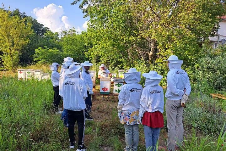 Apitherapy in Belgrade: Explore the Secret Honey Garden at Silos photo 5
