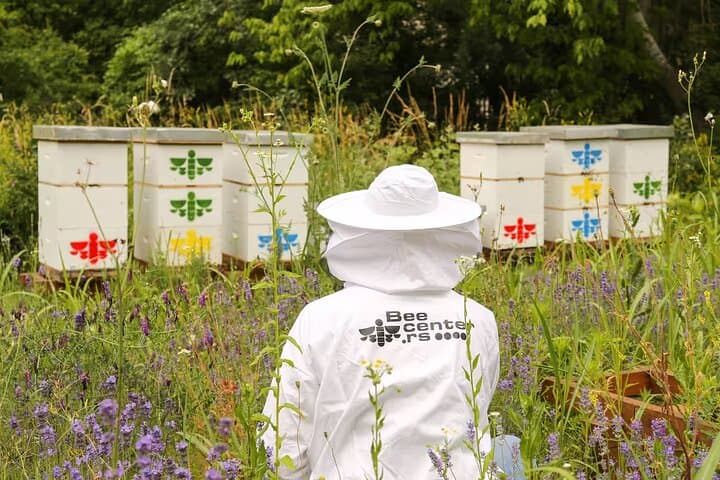 Apitherapy in Belgrade: Explore the Secret Honey Garden at Silos photo 6