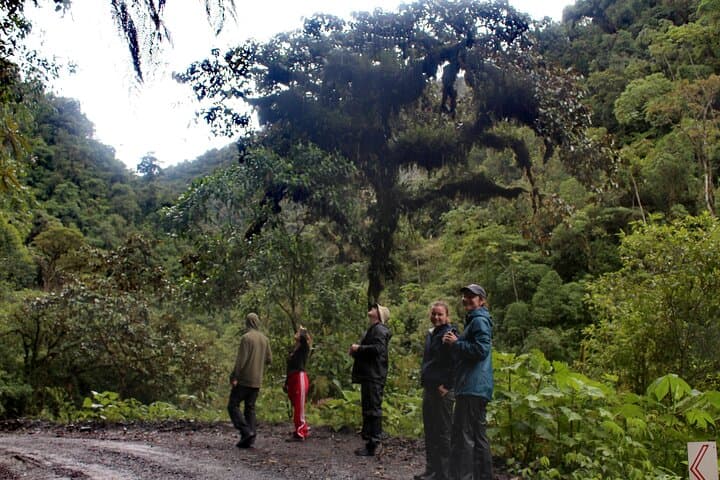 2-Day Manu Jungle Tour from Cusco — Amazon Pona Lodge Wildlife Immersion photo 6