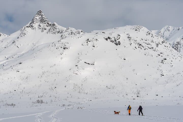 Tromsø Arctic Snowshoeing on Kvaløya — Guided Winter Hike from the City photo 3