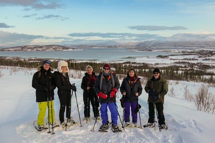 Tromsø Arctic Snowshoeing on Kvaløya — Guided Winter Hike from the City