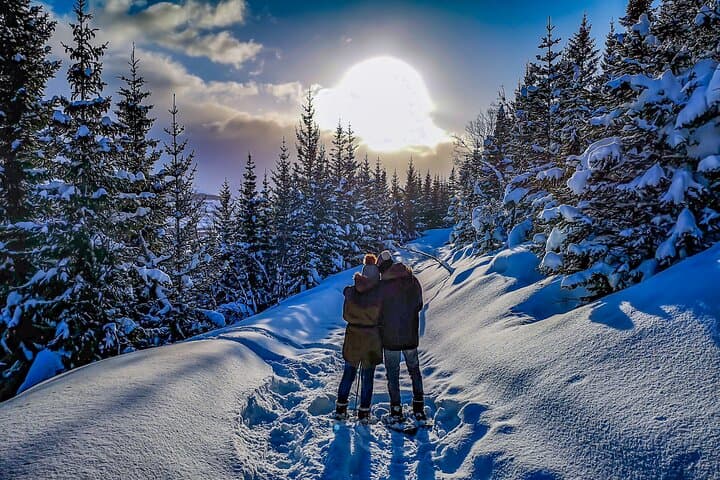 Tromsø Arctic Snowshoeing on Kvaløya — Guided Winter Hike from the City photo 4