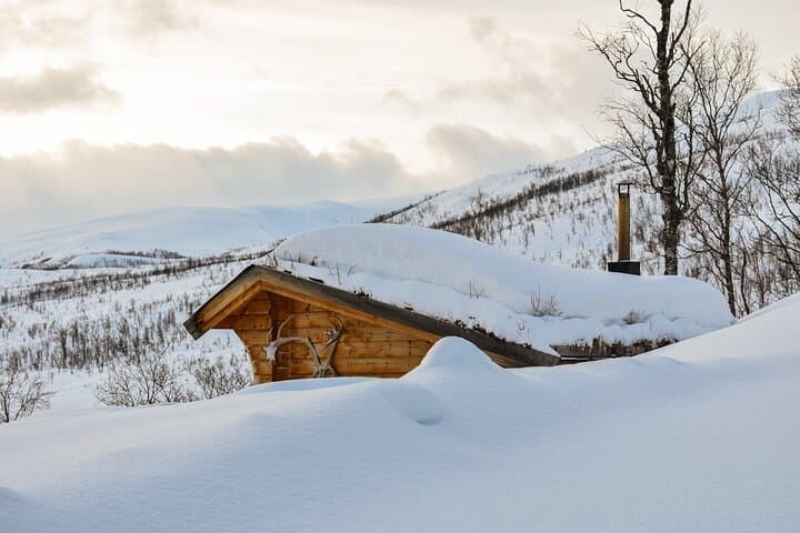 Tromsø Arctic Snowshoeing on Kvaløya — Guided Winter Hike from the City photo 5