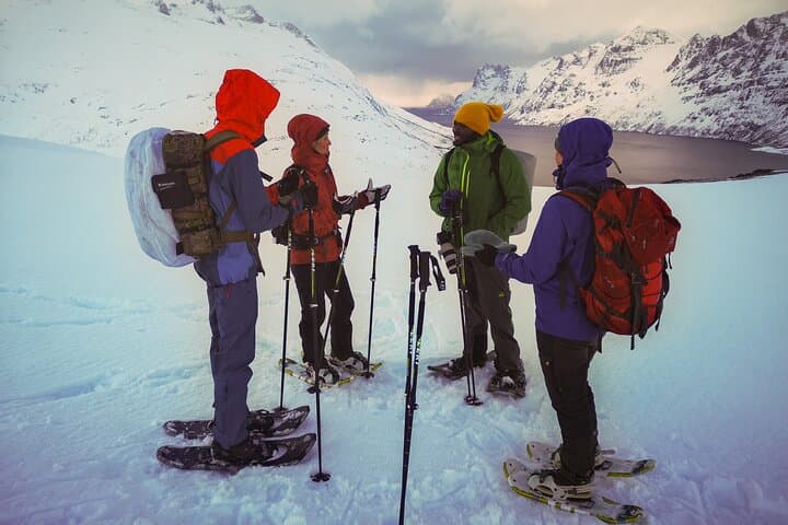 Tromsø Arctic Snowshoeing on Kvaløya — Guided Winter Hike from the City photo 2
