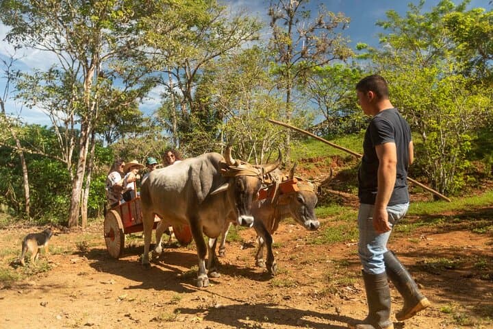 Blue Zone Farm Immersion: Nicoya Peninsula Cultural & Farming Tour photo 3