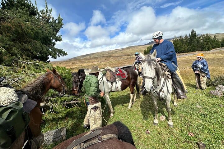 Horseback Riding in Cotopaxi: Páramo Trails & José Rivas Views photo 5