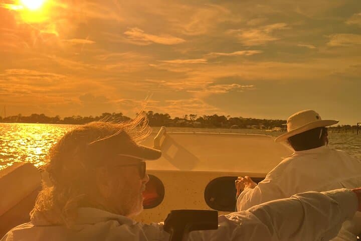 Savannah Dolphin & Shark-Tooth Beach Private Eco Tour photo 6