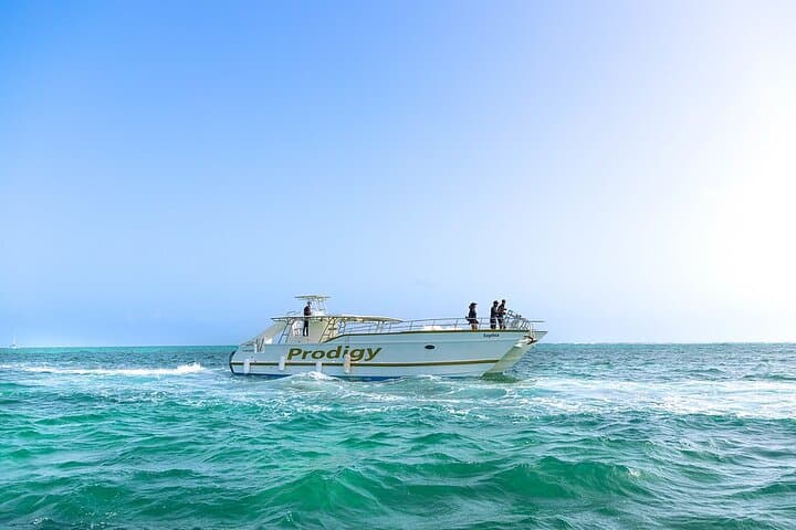 Punta Cana Shared Boat: 3-Hour Snorkel, Natural Pool & Party Cruise photo 5