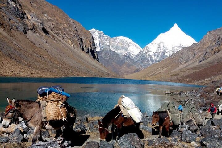Druk Path Trek: Paro to Thimphu 8N/9D — High Himalayan Camping Trek in Bhutan