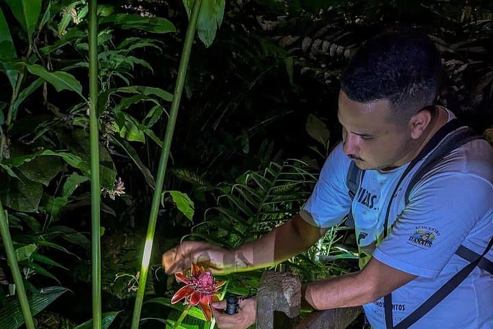 La Fortuna Night Tour: Private 2-Hour Rainforest Walk at Ecocentro Danaus photo 2