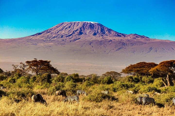 3-Day Amboseli Safari: Elephants and Kilimanjaro Views from Nairobi photo 3