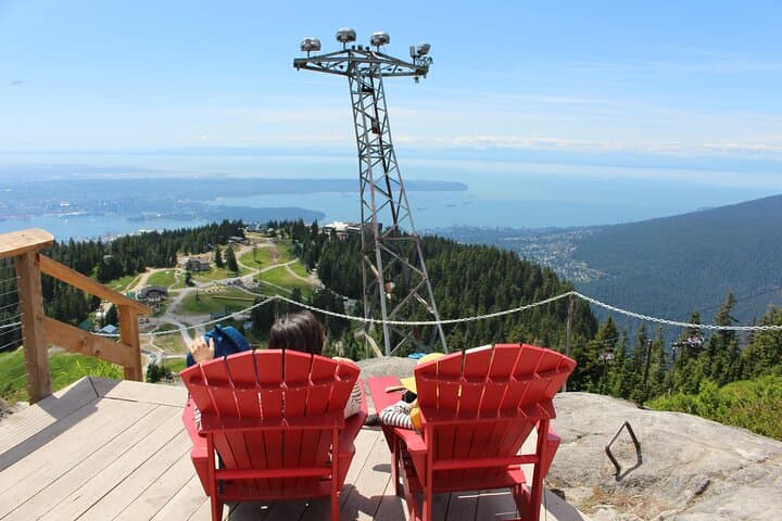 Grouse Mountain and Capilano Suspension Bridge Half-Day Tour — Vancouver’s Coastal Rainforest Experience photo 6