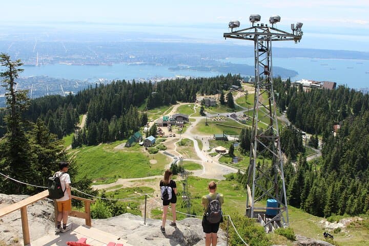 Grouse Mountain and Capilano Suspension Bridge Half-Day Tour — Vancouver’s Coastal Rainforest Experience