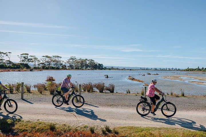 Ride Napier: E-Bike the Hawke’s Bay Trails and Coastal Vines photo 3