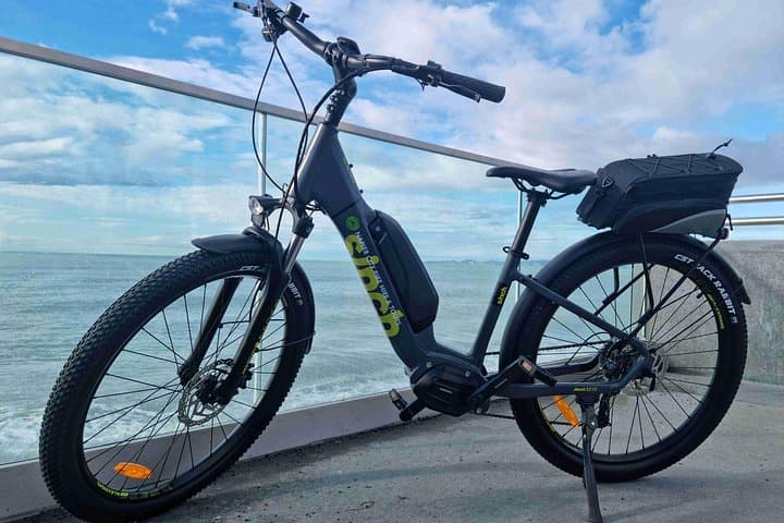 Ride Napier: E-Bike the Hawke’s Bay Trails and Coastal Vines photo 2