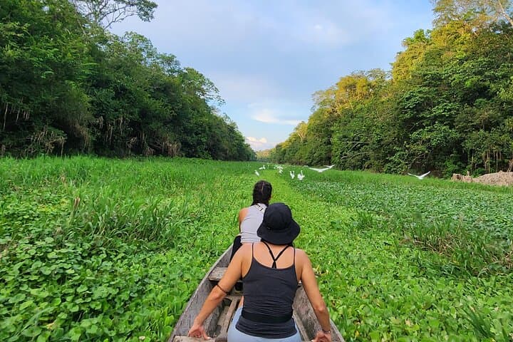 4-Day Amazon Jungle Tour from Iquitos: Canoes, Communities & Night Camps