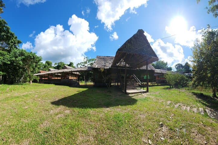 3-Day Amazon Jungle Tour from Iquitos: Monkey Island, Yagua Community & Yanayacu Lodge photo 3
