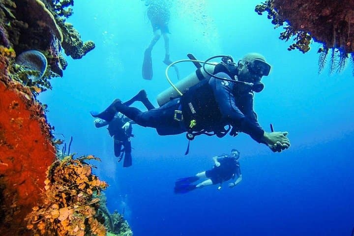 Scuba Diving Catalina Island from Punta Cana — Day Dives and Private Beach Lunch photo 3