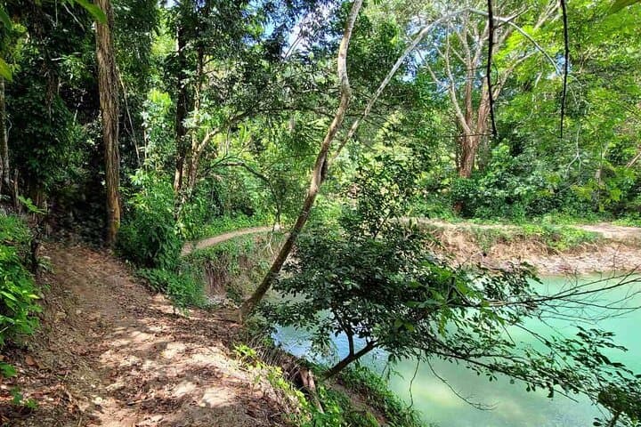 Rejoya River Hike: Off‑Grid Waterfall Trek from Amber Cove (Puerto Plata) photo 5