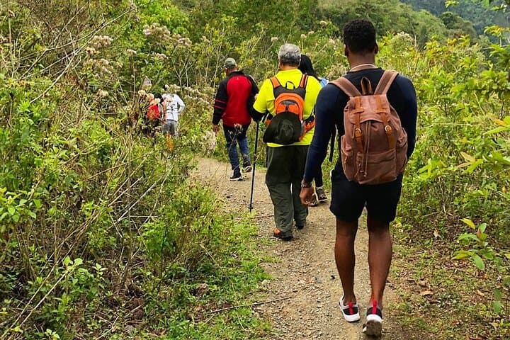 Rejoya River Hike: Off‑Grid Waterfall Trek from Amber Cove (Puerto Plata) photo 6