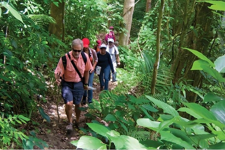 Rejoya River Hike: Off‑Grid Waterfall Trek from Amber Cove (Puerto Plata) photo 2