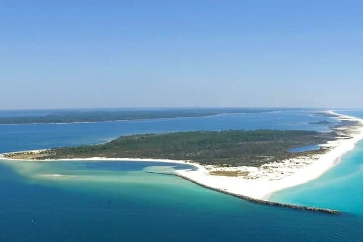 Shell Island Snorkeling & Dolphin Cruise from Panama City Beach photo 3