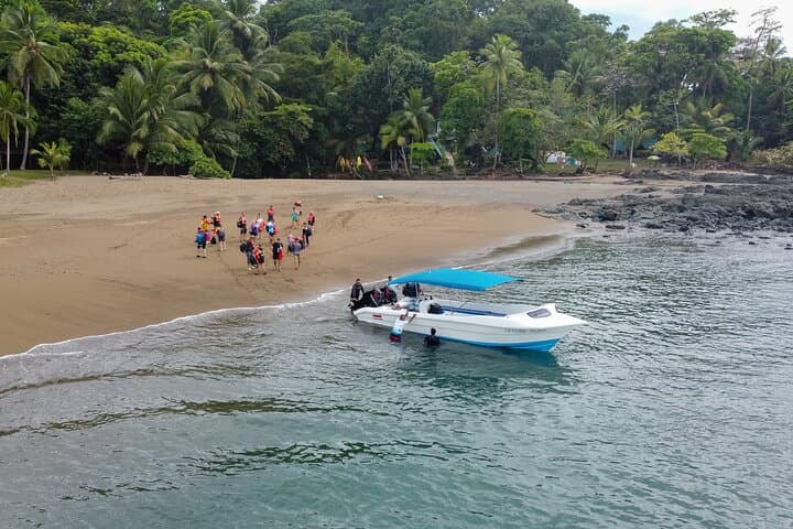 Sirena Station Day Trip: Corcovado Wildlife Adventure from Drake Bay photo 1