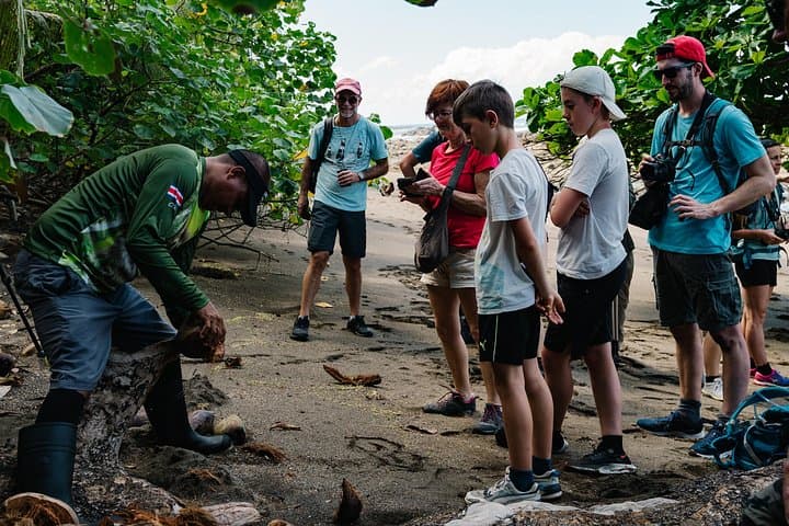 Sirena Station Day Trip: Corcovado Wildlife Adventure from Drake Bay photo 3