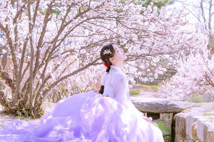 Seoul Hanbok Experience & Gyeongbokgung Photoshoot: Premium Rental at Arihanbok photo 1