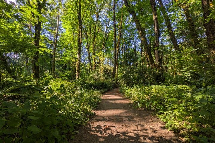 Tryon Creek Eco-Tour with a Master Naturalist — Guided Nature Walk in Portland's Urban Forest