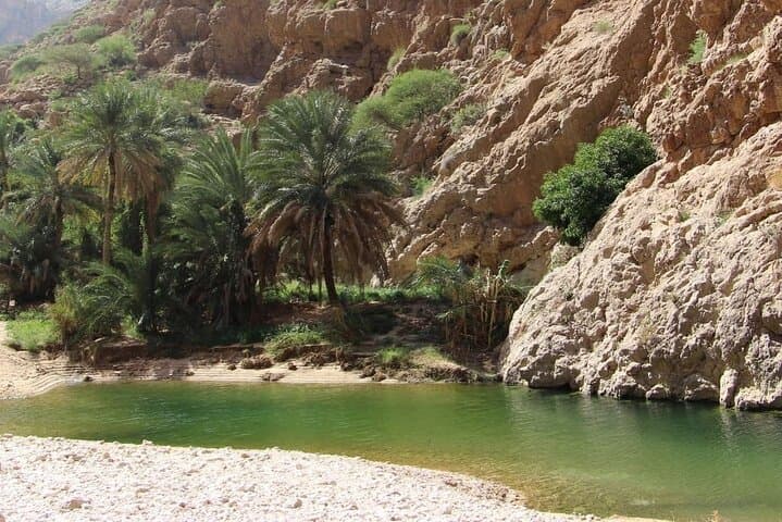 5-Day Private Oman Adventure: Wadis, Desert Dunes & Turtle Watching photo 4