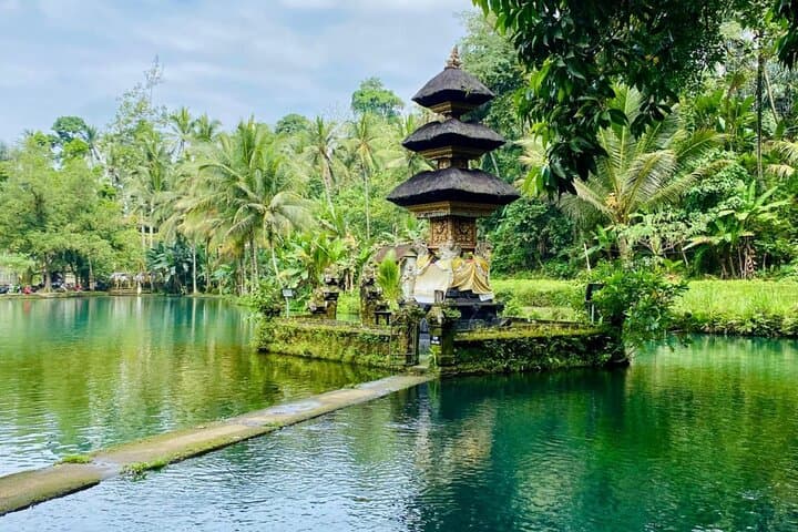 Ubud VW Convertible Tour: Sangeh Monkey Forest, Taman Mumbul & Balinese Cooking Class photo 2
