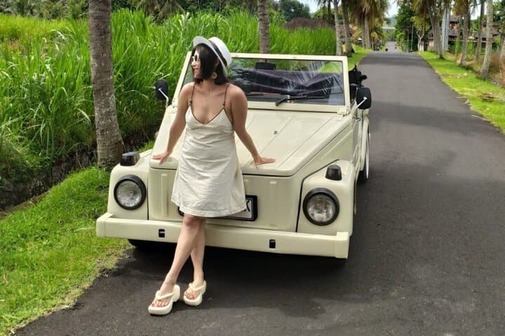 Ubud VW Convertible Tour: Sangeh Monkey Forest, Taman Mumbul & Balinese Cooking Class