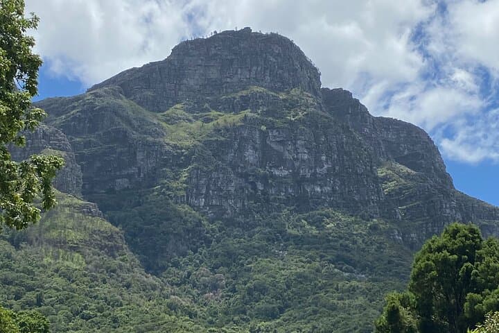 Fynbos & Wine: Kirstenbosch to Constantia Valley Walking Experience photo 2