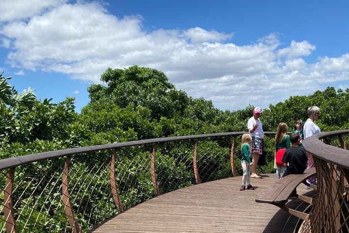 Fynbos & Wine: Kirstenbosch to Constantia Valley Walking Experience photo 4