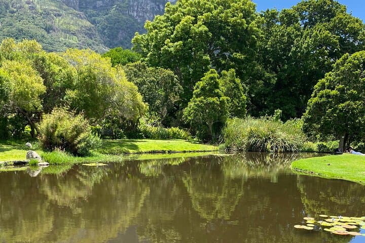 Fynbos & Wine: Kirstenbosch to Constantia Valley Walking Experience photo 6