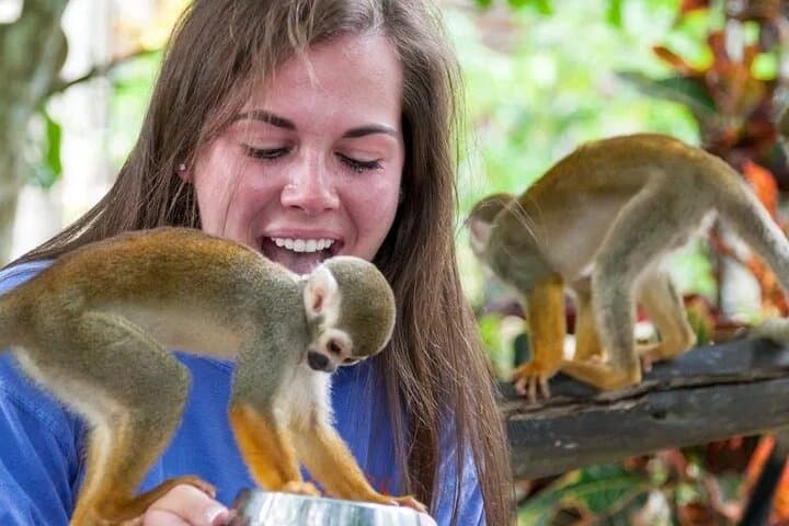 Monkeyland Punta Cana: Family Safari, Coffee & Squirrel Monkey Encounters photo 5