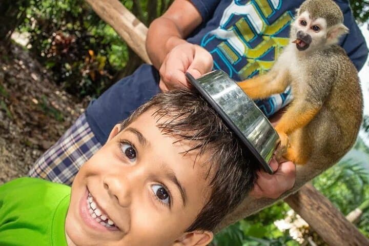 Monkeyland Punta Cana: Family Safari, Coffee & Squirrel Monkey Encounters photo 6