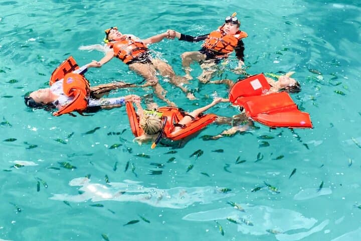 Phi Phi Islands Snorkel Escape to Maya Bay & Khai Island photo 4