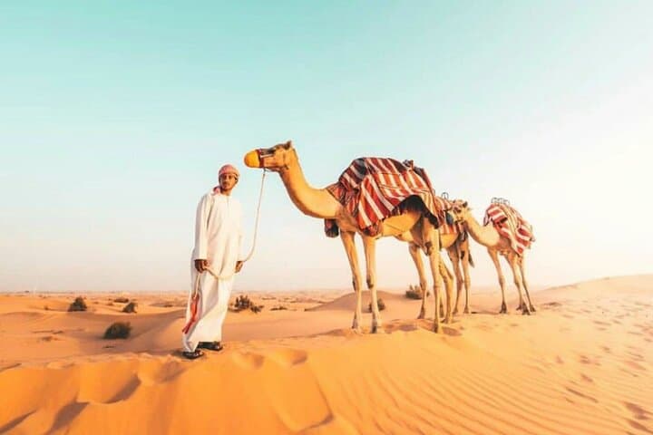 Dubai Desert Camel Safari: 1-Hour Camel Ride with Private Pickup & Drop