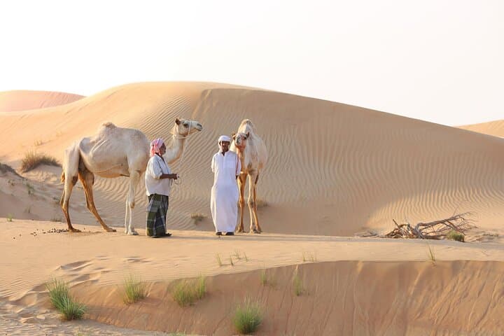 Dubai Desert Camel Safari: 1-Hour Camel Ride with Private Pickup & Drop photo 2