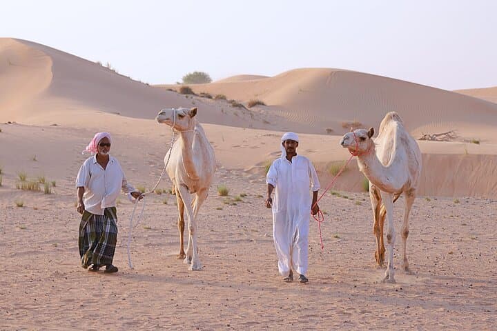 Dubai Desert Camel Safari: 1-Hour Camel Ride with Private Pickup & Drop photo 3